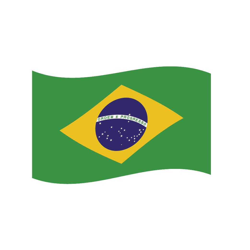 Флаг Português (BR)