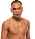 Ding Meng