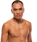 Ding Meng