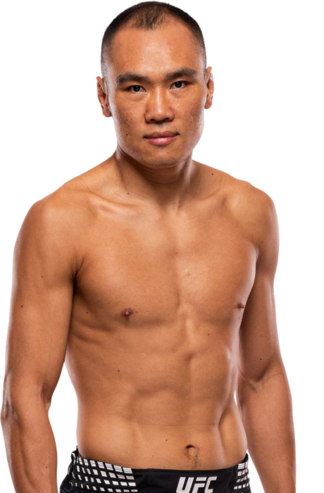 Ding Meng