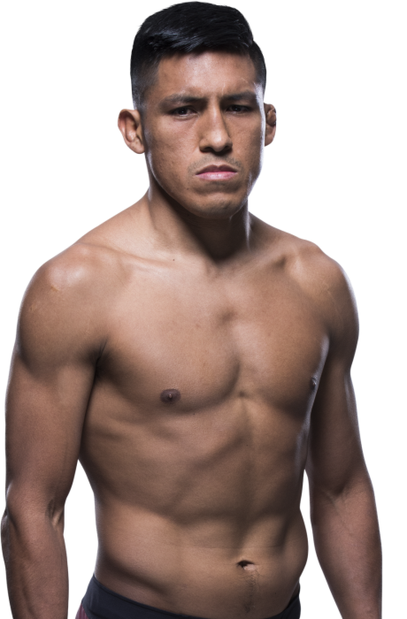 Enrique Barzola