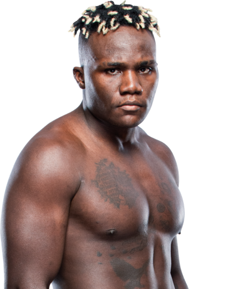 Fabio Cherant — Light Heavyweight fighter portrait