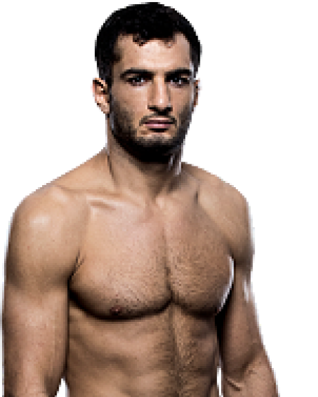 Gegard Mousasi — Middleweight fighter portrait