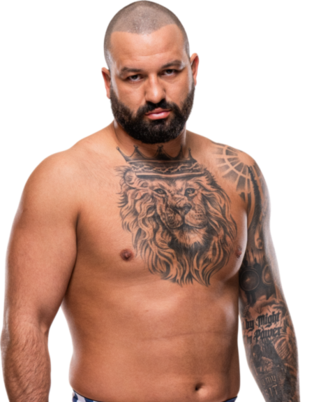Josh Hokit — Heavyweight fighter portrait