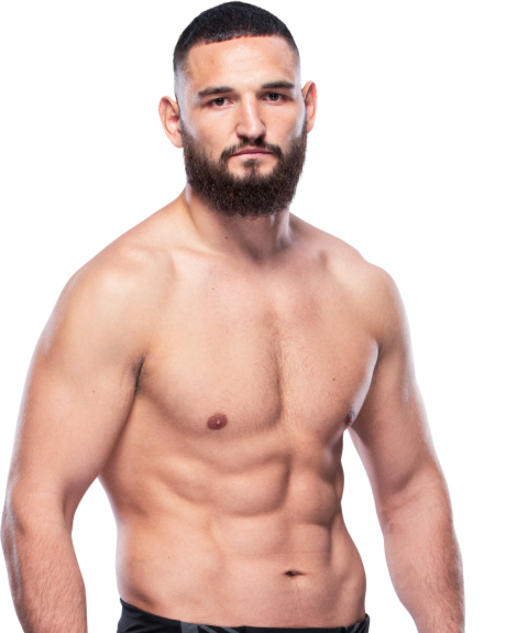 Nicolae Negumereanu — Light Heavyweight fighter portrait