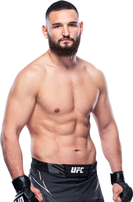 Nicolae Negumereanu