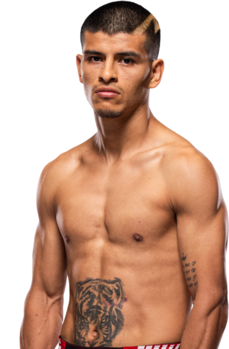 Nilson Rojas
