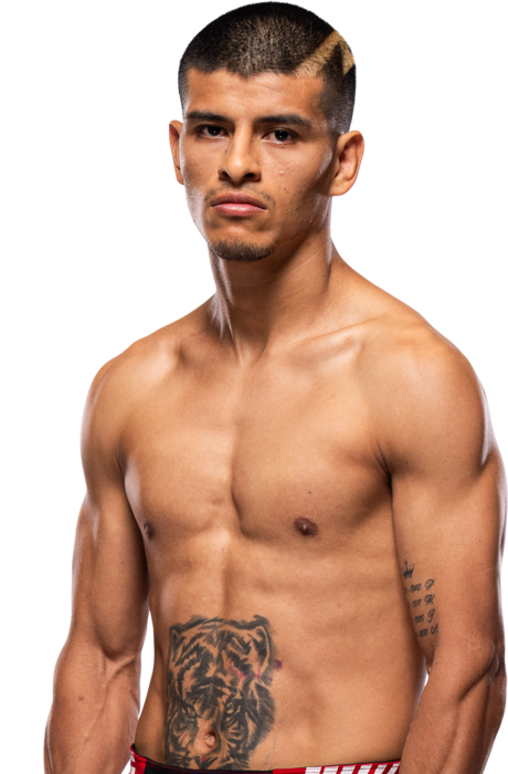 Nilson Rojas