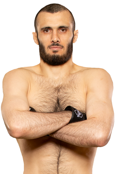 Islam Mamedov