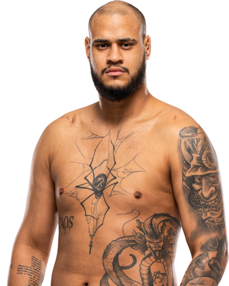 Tallison Teixeira — Heavyweight fighter portrait